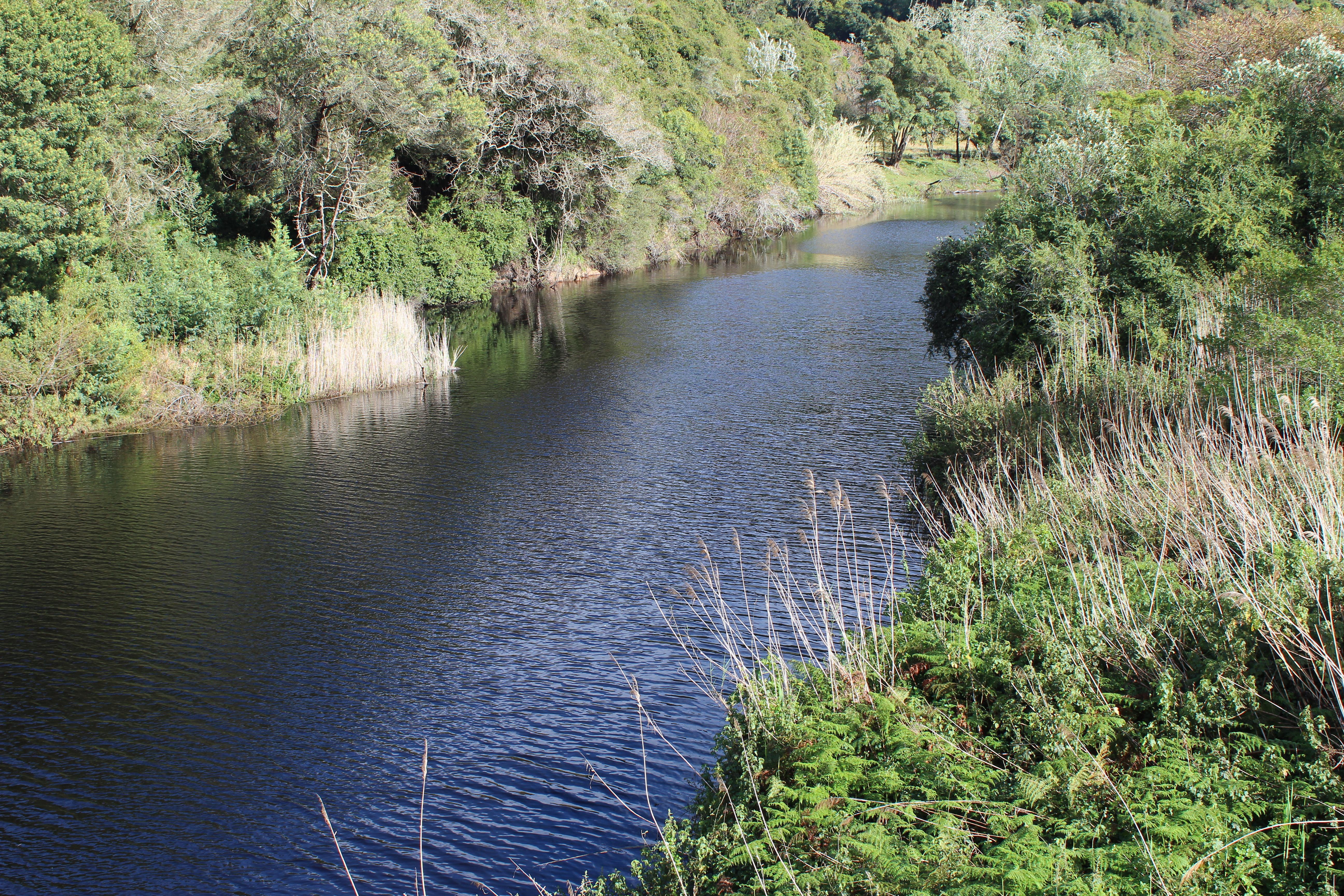 Blackwaters River Lodge, Knysna Exteriör bild